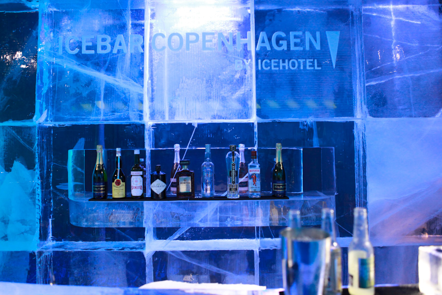 Danielle-Klebanow-Los-Angeles-Photography-Copenhagen-Icebar (10)
