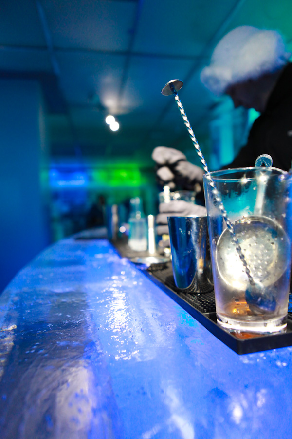 Danielle-Klebanow-Los-Angeles-Photography-Copenhagen-Icebar (11)