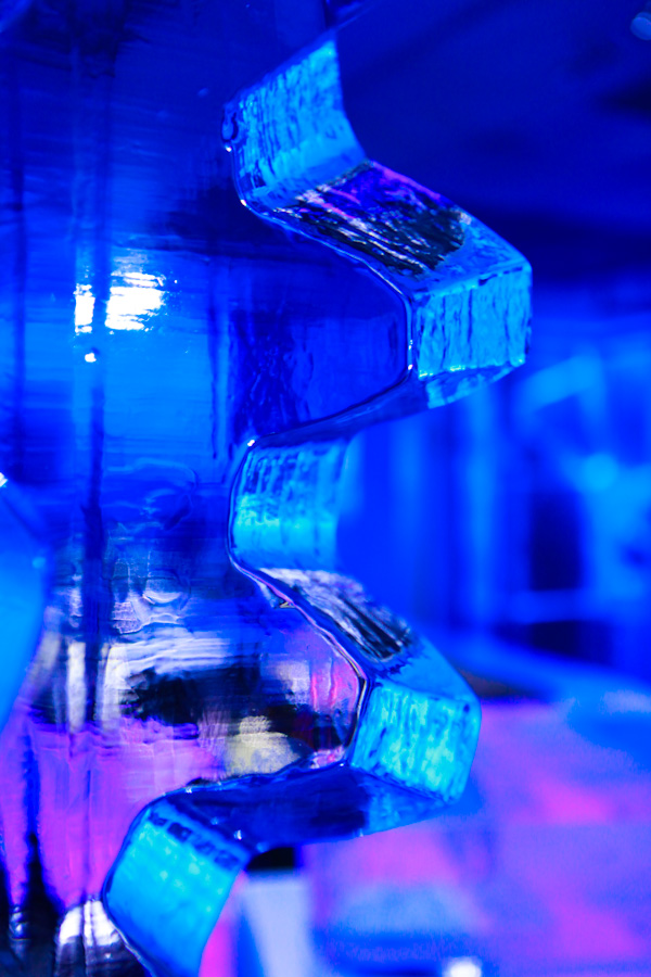 Danielle-Klebanow-Los-Angeles-Photography-Copenhagen-Icebar (16)