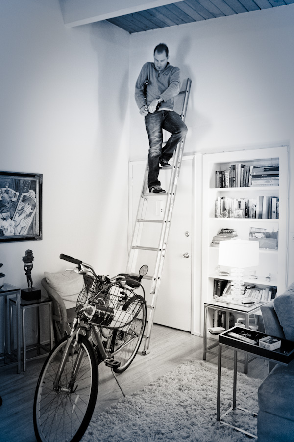 danielle-klebanow-photography-dogs (1)