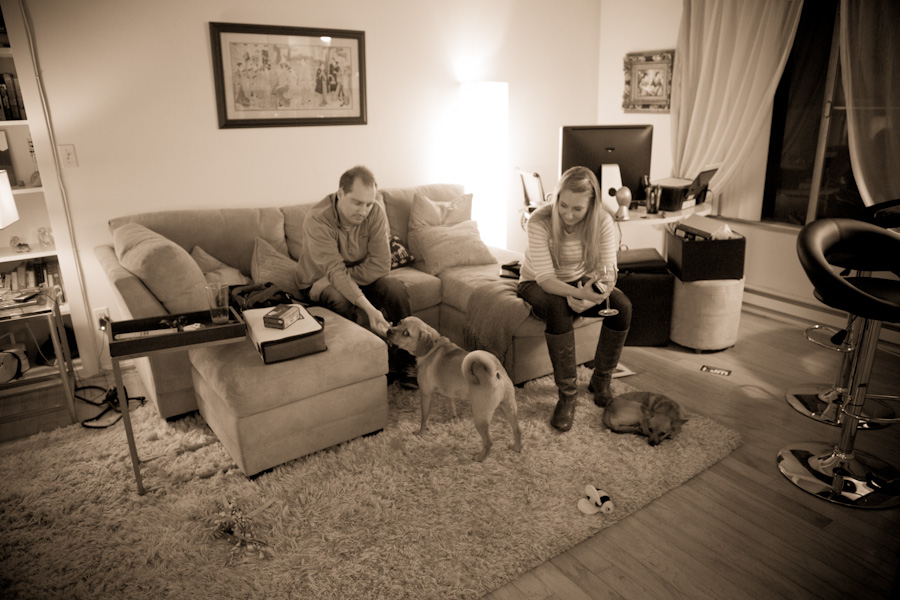 danielle-klebanow-photography-dogs (3)