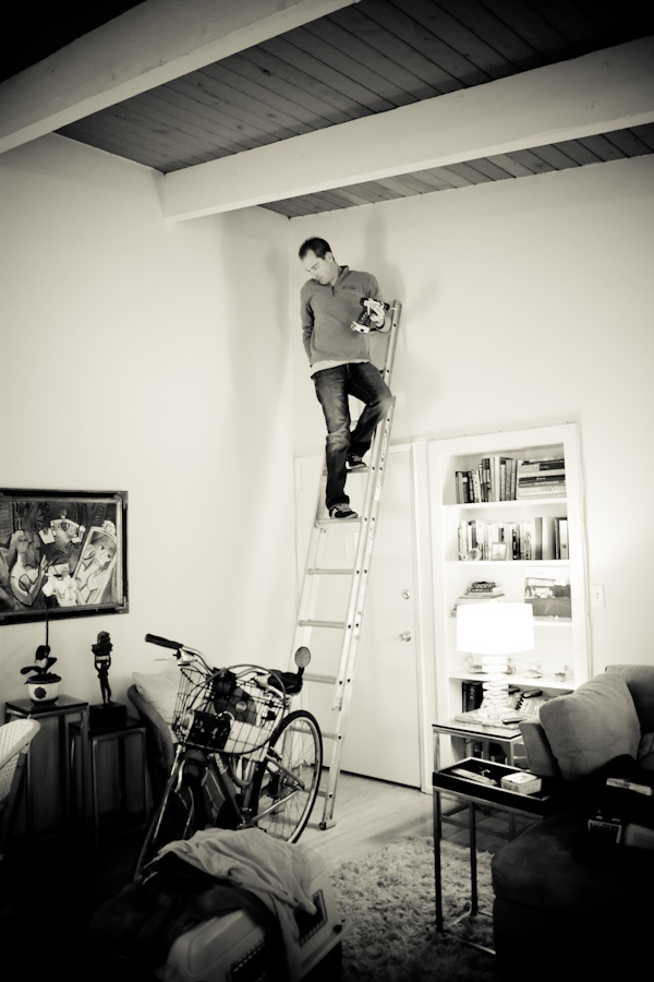 danielle-klebanow-photography-dogs