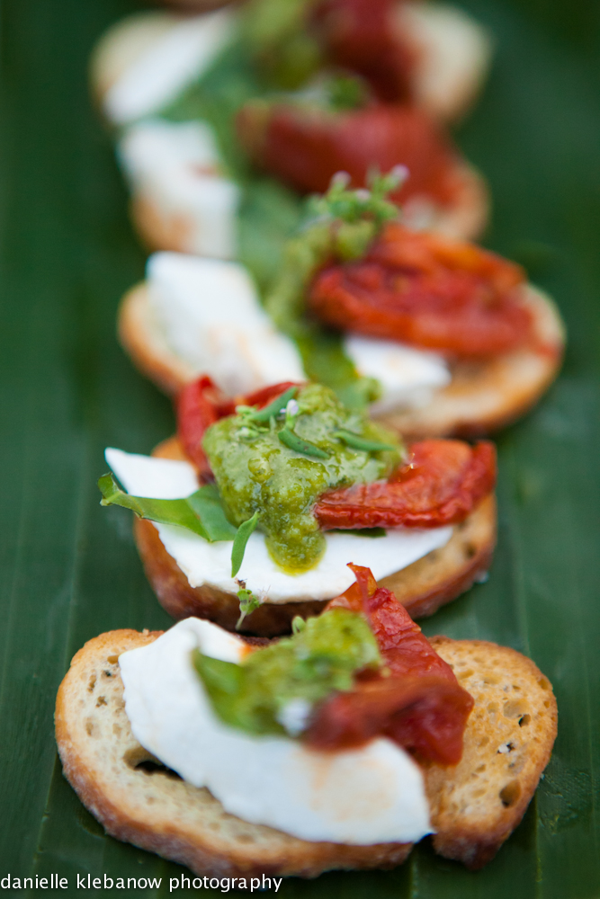 095Danielle_Klebanow_Photography