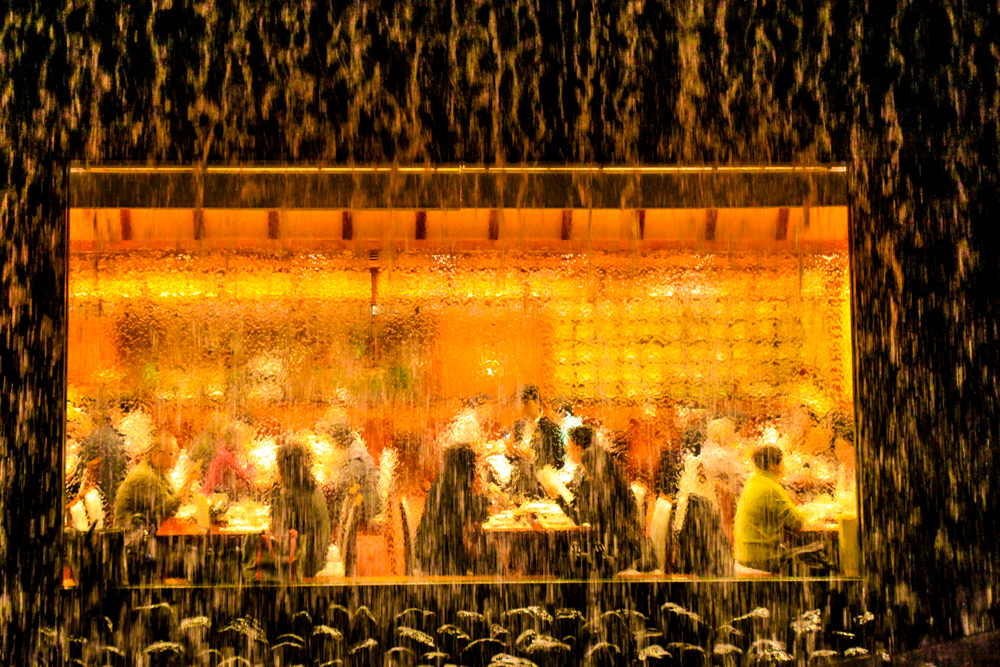 Vegetarian Dinner beneath the water