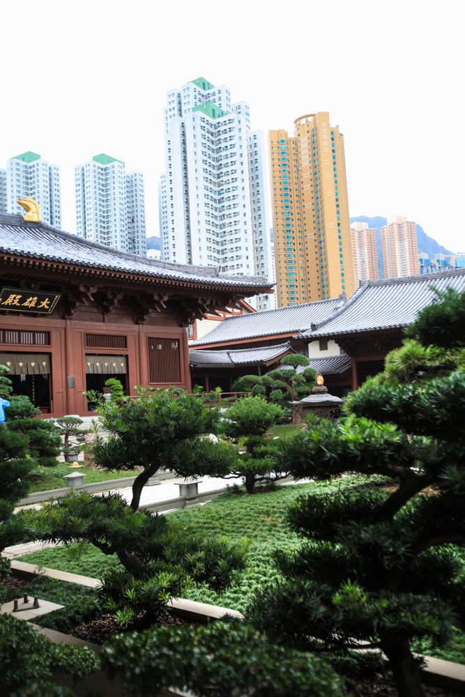 002Danielle_Klebanow_Photography_Los_Angeles