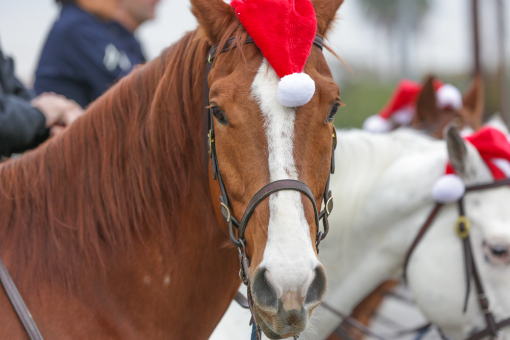 007Danielle_Klebanow_Photography_Los_Angeles