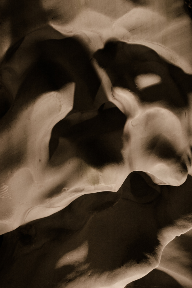 012Danielle_Klebanow_Photography_Los_Angeles