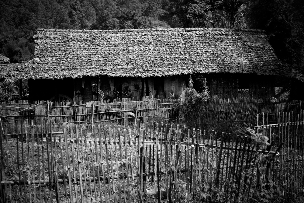 025Danielle_Klebanow_Photography_Los_Angeles