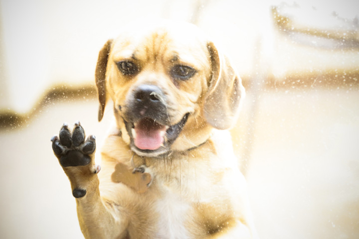 026Danielle_Klebanow_Photography