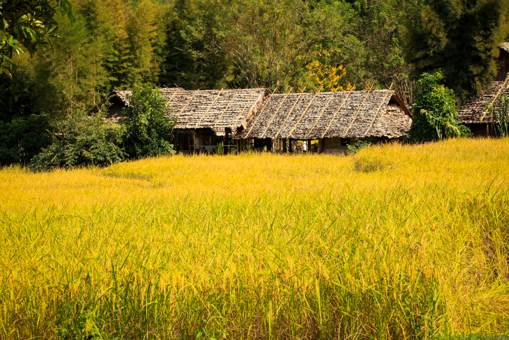 026Danielle_Klebanow_Photography_Los_Angeles