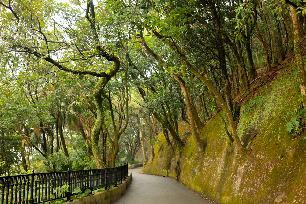 029Danielle_Klebanow_Photography_Los_Angeles