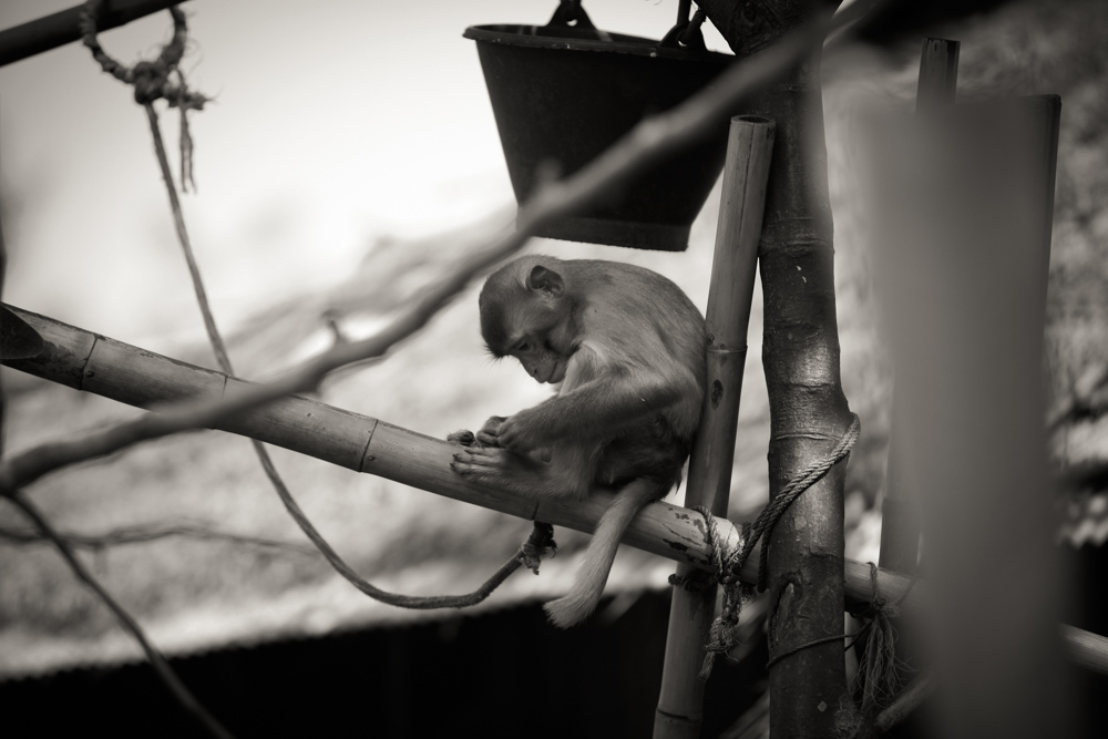 033Danielle_Klebanow_Photography_Los_Angeles