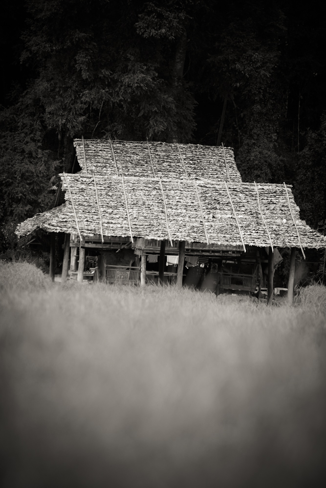 036Danielle_Klebanow_Photography_Los_Angeles