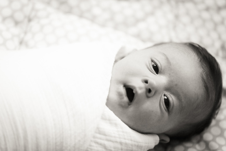 040Danielle_Klebanow_Photography