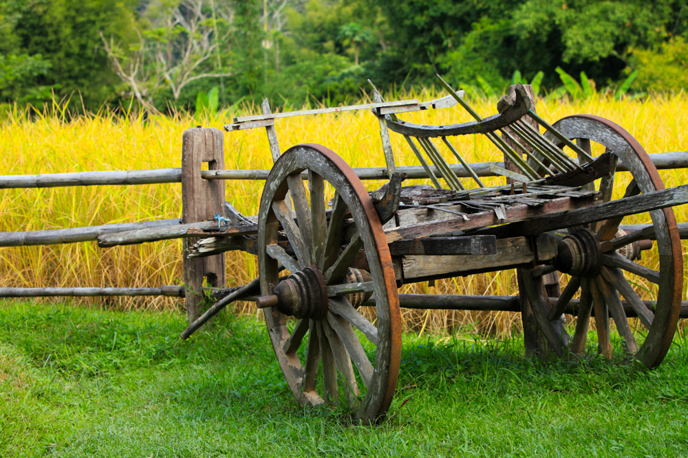 043Danielle_Klebanow_Photography_Los_Angeles