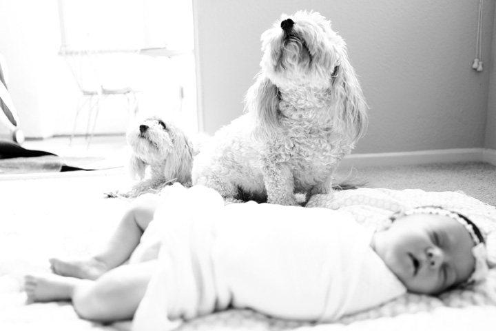 080Danielle_Klebanow_Photography