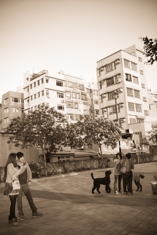 danielle_klebanow_photography041